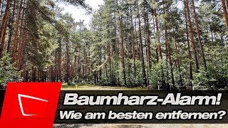 Baumharz Alarm im Sommer! Baumharz schonend vom Lack entfernen Schritt für Schritt