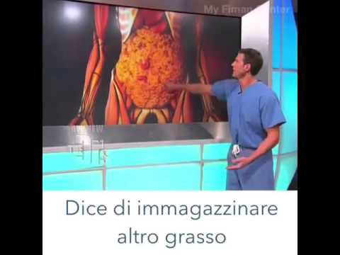 Su quanti è possibile perdere il peso su cibo corretto in un mese Ruolo di grassi in struttura del cibo