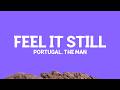 Portugal The Man Feel It Still Lyrics
