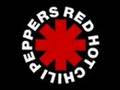 Red Hot Chili Peppers - Torture Me Lyrics