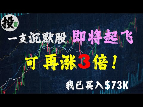 美股 | 投资 | 股票 | 账户更新，一支盘整很久的股票，即将起飞，未来可涨3倍。