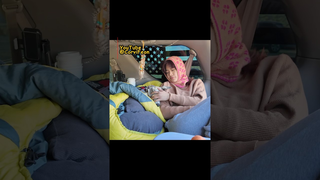 New blog out now! Join Picie and I on our way to Death Valley! 🏜️ #deathvalley #eurekasanddunes