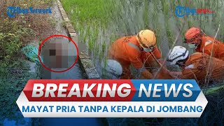 BREAKING NEWS: Temuan Mayat Pria Tanpa Kepala di Dukuharum Jombang, Jasad Tertelungkup & Telanjang