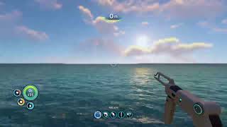 海のサバイバル