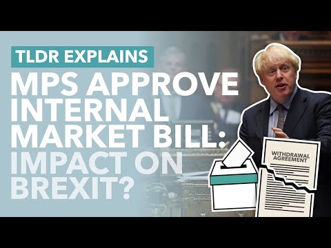 Brexit: MPs Approve Controversial Internal Market Bill: Vote & Impact on Brexit Explained- TLDR News