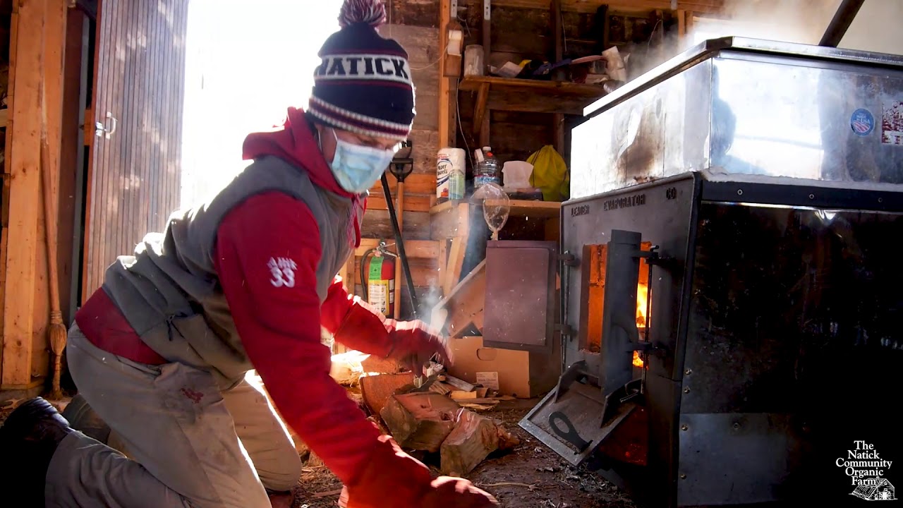 A Look Inside the Sugar Shack