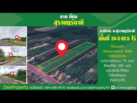 🌿 Surat Thailand Land, 24-3-92.5 Rai, on 4 Lane Road, 4009, near the city, convenient to travel 🌳 – รูปที่ 2