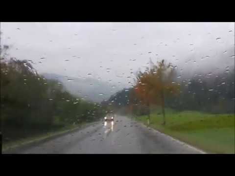 Мария Танева   Бели ружи