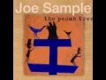 Joe Sample Spanish Moss