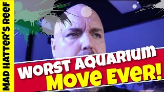WORST Aquarium Move EVER!