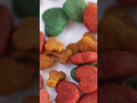 10 Best Large Breed Puppy Foods #shorts