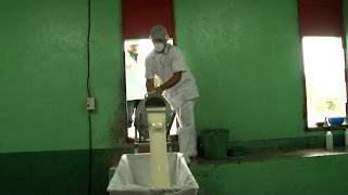 Producción lechera fortalece la economía nicaragüense