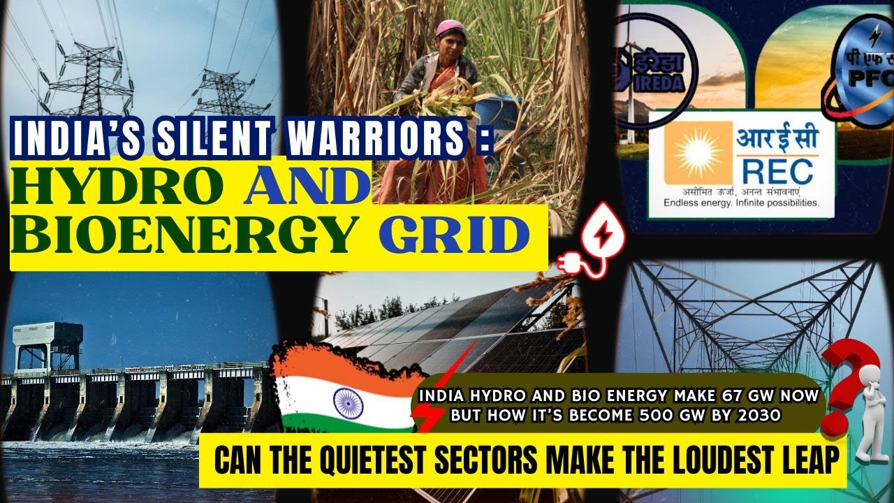 The Supporting Cast – Hydro, Bio & the Energy Grid