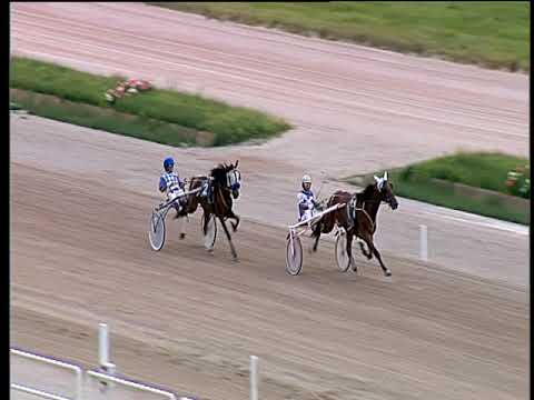 Trotto 07/06/2018 - 1ª prova di qualifica