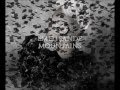 Emeli Sande - Mountains 