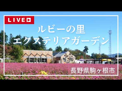 ルビーの里 エクステリアガーデンのライブカメラ映像
