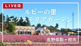 【長野県駒ヶ根市】ルビーの里 エクステリアガーデン お天気ライブカメラ Live camera  from "Ruby no Sato" in Komagane City, Nagano live webcam