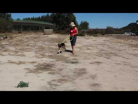 Vídeo de KRUMEL