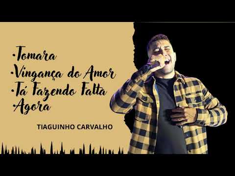 Tiaguinho Carvalho - canta Pablo (Medley)