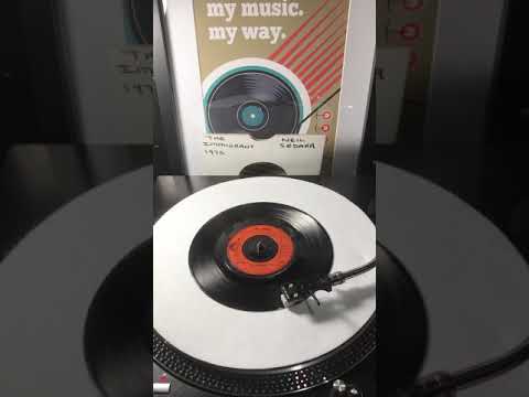 Neil Sedaka - The Immigrant ( Vinyl 45 ) From 1975 .