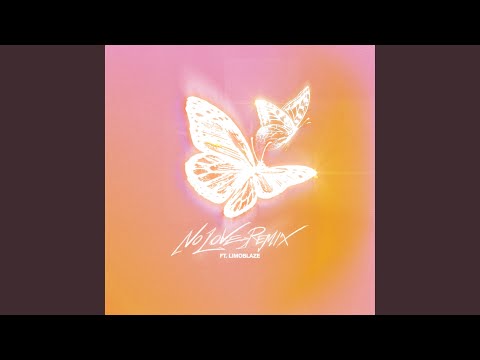 NO LOVE (Remix)