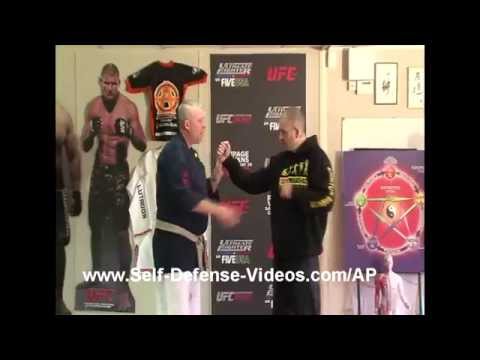 Meridian Attack System #2