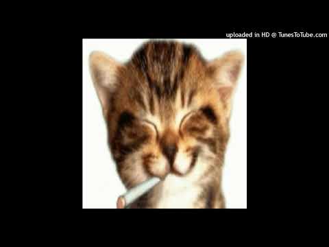 SCT INCIDENT @ - BIC ACESO (OFICIAL MUSICA AUDIO)