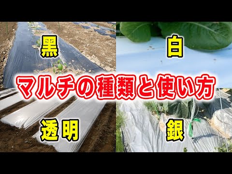 どの庭のマルチを選択するかメリットデメリット