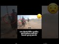 Horse Race And Killed Horse Horselover Race Killed