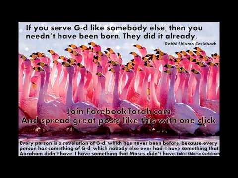 Holy Fire and Water Rabbi Shlomo Carlebach Teachings and Stories 17