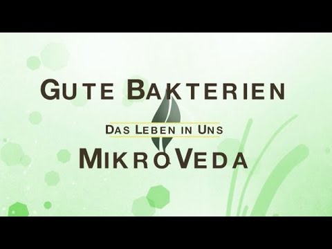 Das Leben in uns: Gute Bakterien