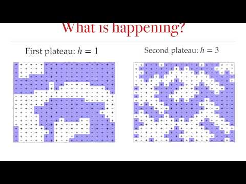 J24: Quenching to field-stabilized magnetization plateaus in the unfrustrated Ising antiferromagnet