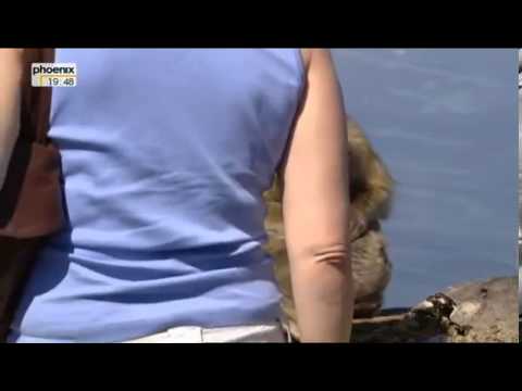 Sonne, Siesta und Saudade Andalusien   Wo Spanien am spanischten ist Doku über Andalusien Teil 3