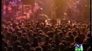 Eugenio Finardi e Timoria - Verso Oriente.mov