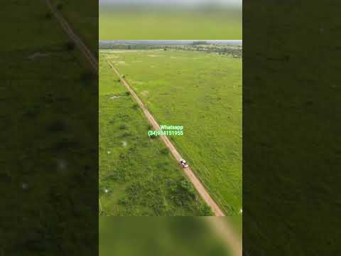 Fazenda no Tocantins.Região de Pequizeiro com 2201 hectares plantar 1800 hectares