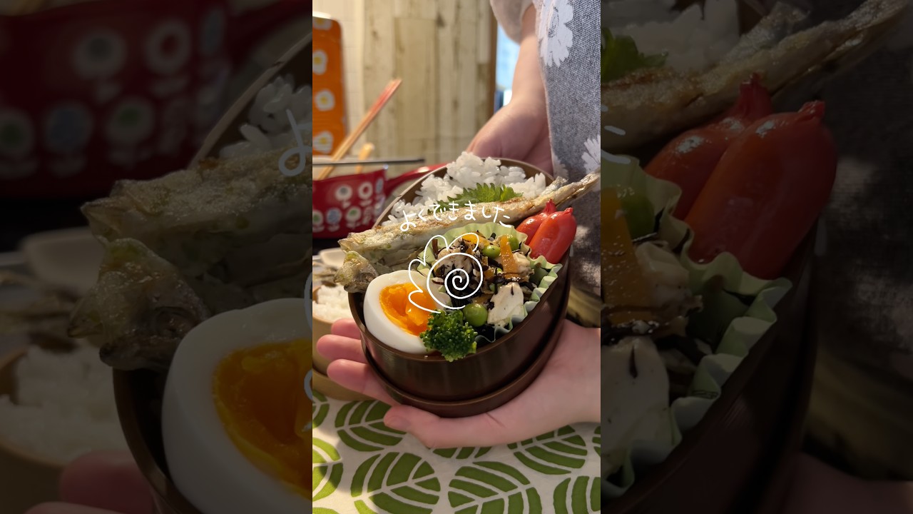 【ししゃもの磯辺揚げ弁当】おかしくて笑いが止まらないw！#shorts #お弁当記録