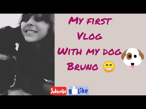 Meet my dog bruno🐶 | my first vlog 🤪