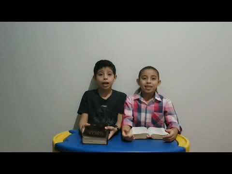 Ler e meditar na Palavra de Deus - Meditando dia e noite