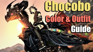 Chocobo Appearance - Outfit and Color Guide