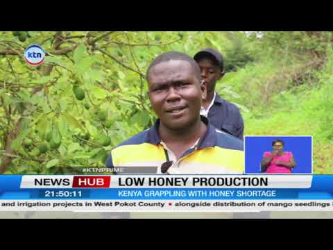 Low Production of Honey Opens Big Opportunity for Beekeepers