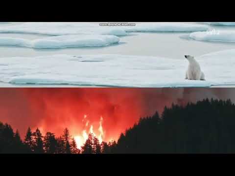 SVT Aktuellt Intro (2020)