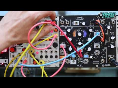 Make Noise Morphagene Granular Sampler [DEMO] image 2