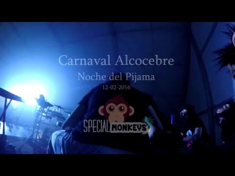 Video 3 de Special Monkeys
