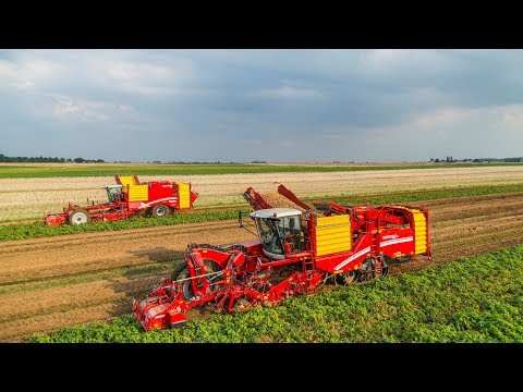 GRIMME | Best of Potato Harvesting Technology 2017