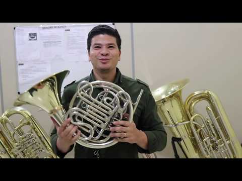 Trompa Holton H179 campana removivel #646354