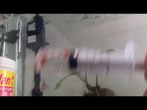 Make Floating Fish Pellets Sink