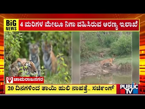 ಯೆಲ್ಲೋ ಮೆಟ್ರೋ ಪ್ರಯಾಣಿಕರಿಗೆ ಡಬಲ್ ಗುಡ್‌ನ್ಯೂಸ್ - ಇದೇ 15ಕ್ಕೆ ಟ್ರ್ಯಾಕಿಗಿಳಿಯಲಿದೆ ನಾಲ್ಕನೇ ರೈಲು | Public TV