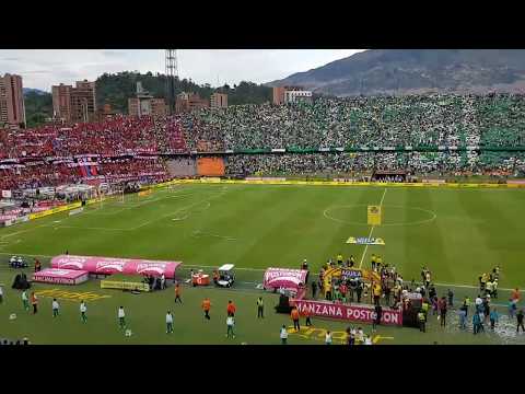 "SALIDA ATLETICO NACIONAL VS IND. MEDELLIN | CLÃSICO ANTIOQUEÑO 291" Barra: Los del Sur • Club: Atlético Nacional