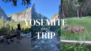 【カリフォルニア在住】ヨセミテ国立公園part2 yosemite