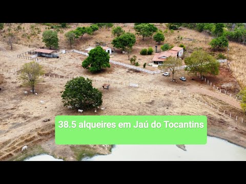 Fazenda a venda de 38.5 alqueires em Jaú do Tocantins - 62 9 8623 3788 CF. 36.567 